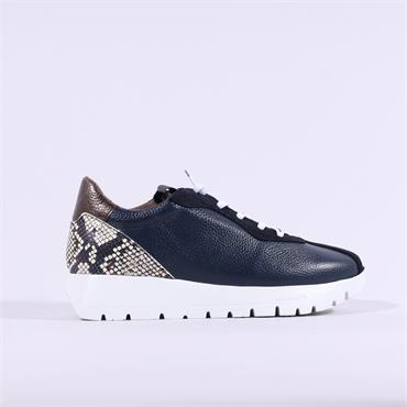 Wonders Odisei Bungee Lace SnakeTrainer - Navy Snake